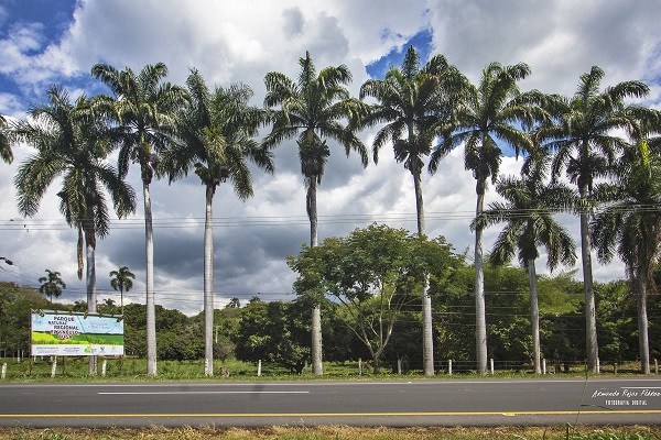 noticias-destacadas/el-parque-natural-regional-el-vinculo-reabre-sus-puertas-al-publico